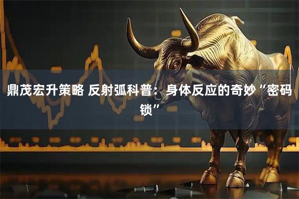 鼎茂宏升策略 反射弧科普：身体反应的奇妙“密码锁”